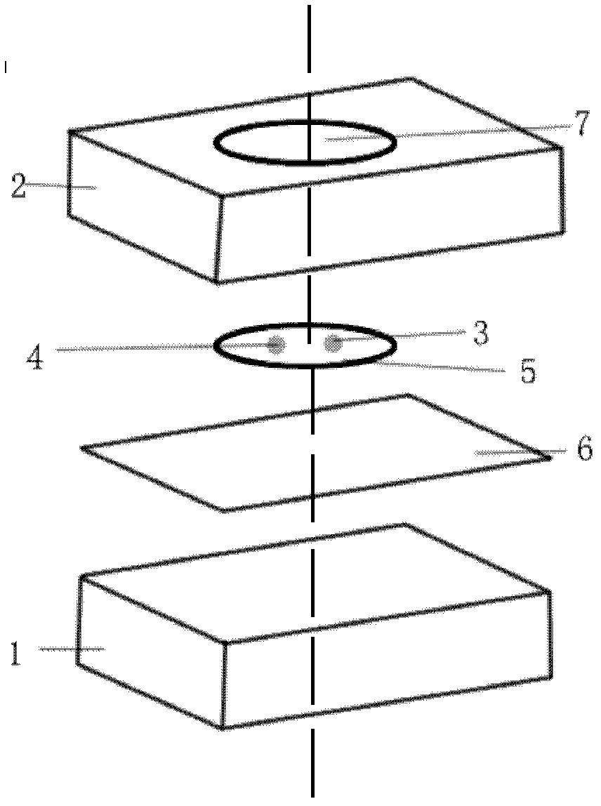 Echinococcus multilocularis circulating antigen dot immunogold filtration kit and preparation method