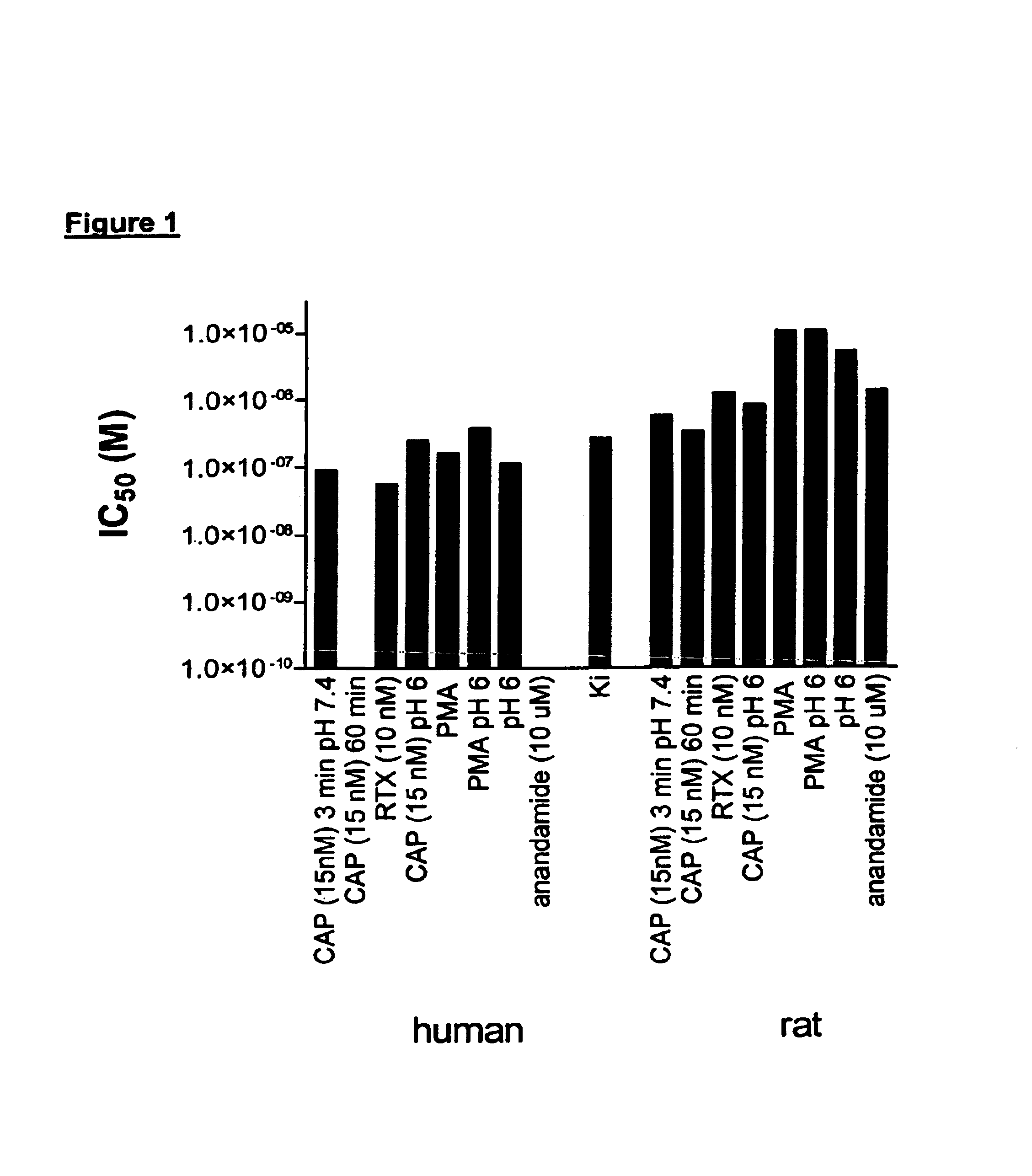 Aminotetralin-derived urea modulators of vanilloid VR1 receptor