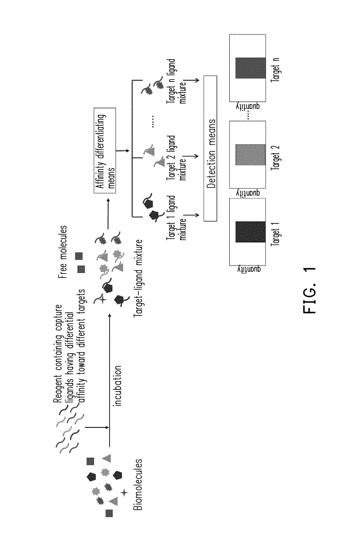 Method of multiplex immunoassays utilizing differential affinity and methods for synthesizing aptamer-based reagents for multiplex immunoassays