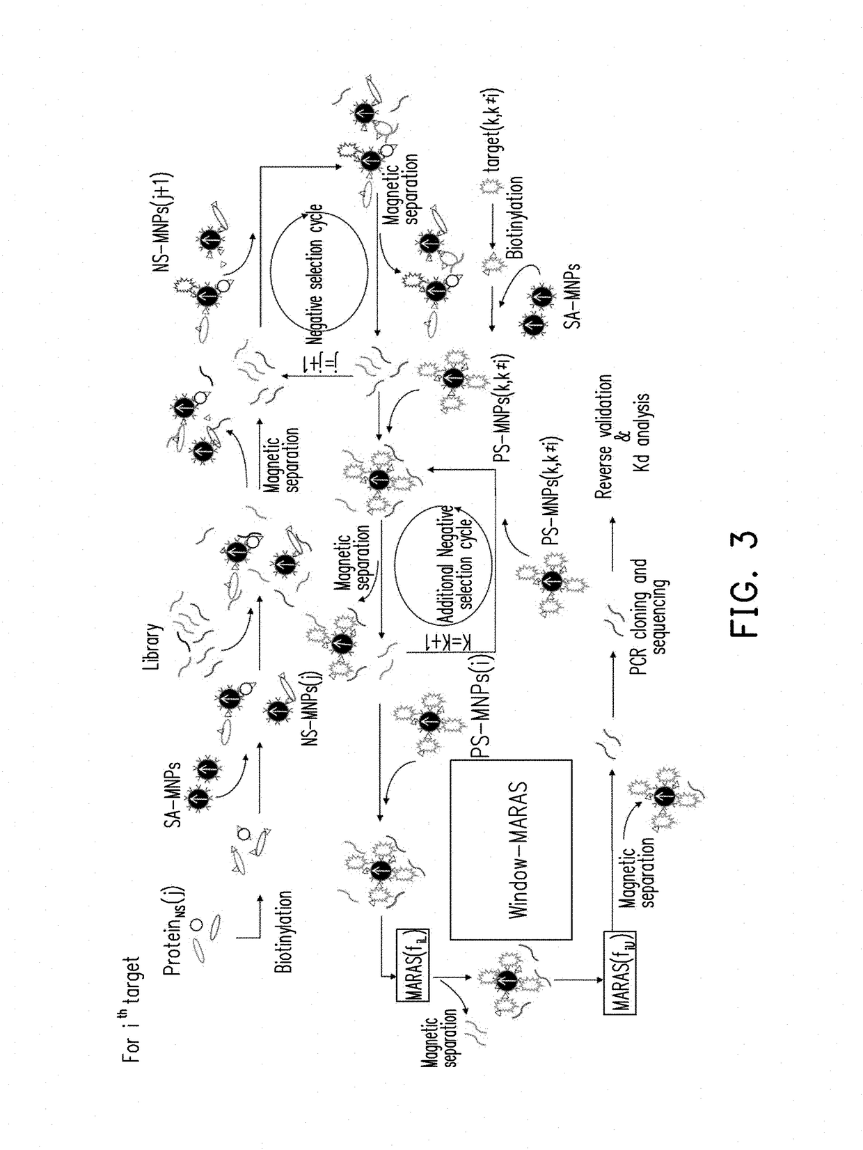 Method of multiplex immunoassays utilizing differential affinity and methods for synthesizing aptamer-based reagents for multiplex immunoassays