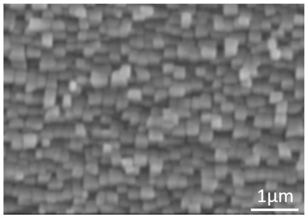 Heat treatment method of single crystal nickel-based superalloy after cold deformation