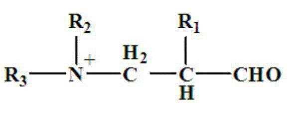 Salt-free pickling-free amphoteric polymer chrome-free tanning agent