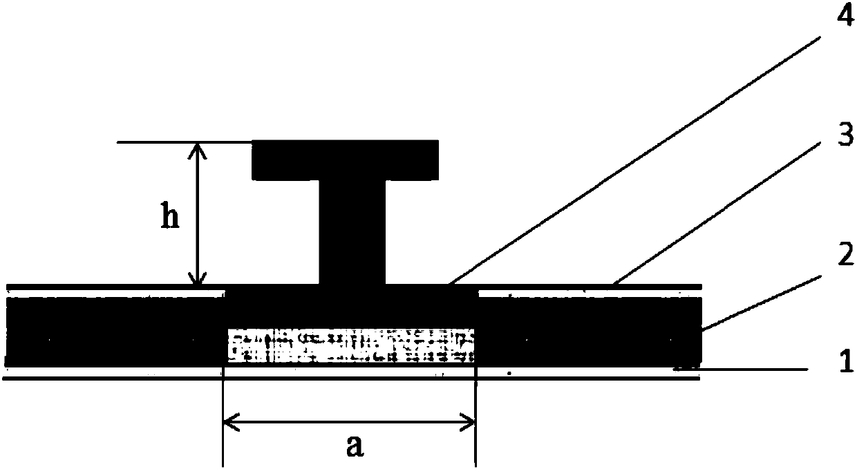 Skirt plate structure of rail traffic vehicle body and forming method of skirt plate structure