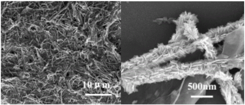 Three-dimensional structure aerogel with copper nanowires coated with graphene and preparation method of three-dimensional structure aerogel and application of three-dimensional structure aerogel