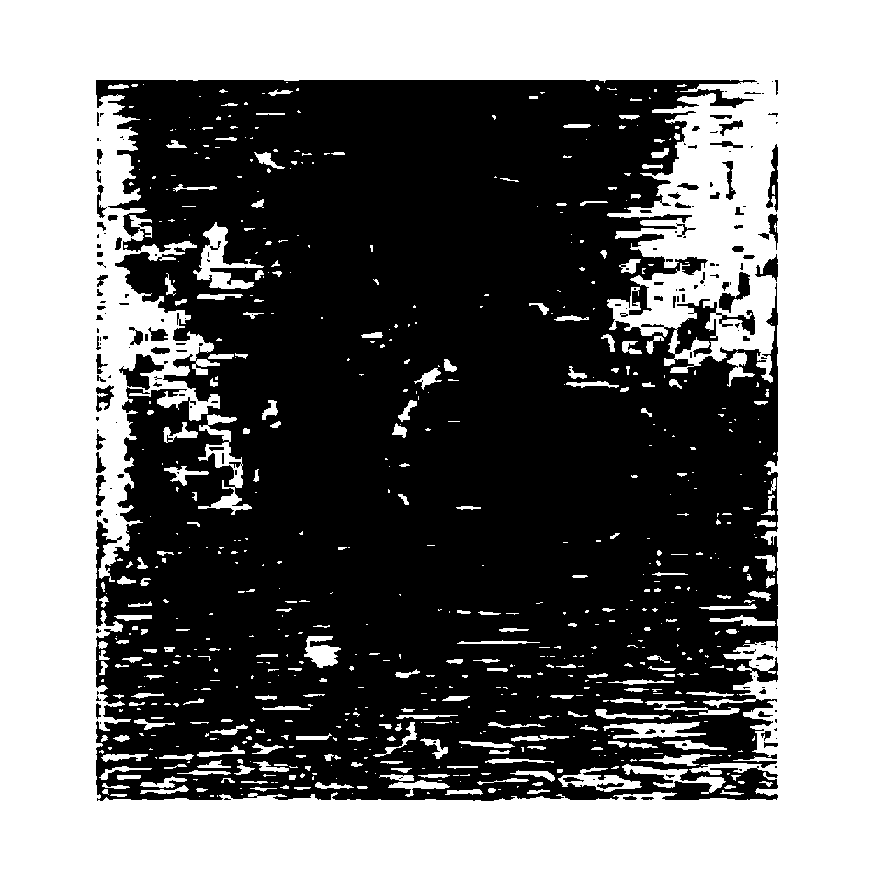 Method for observing crack propagation path of titanium alloy under plane strain state