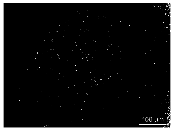 A kind of hot-rolled wire rod for ultra-low carbon steel fiber and its production method