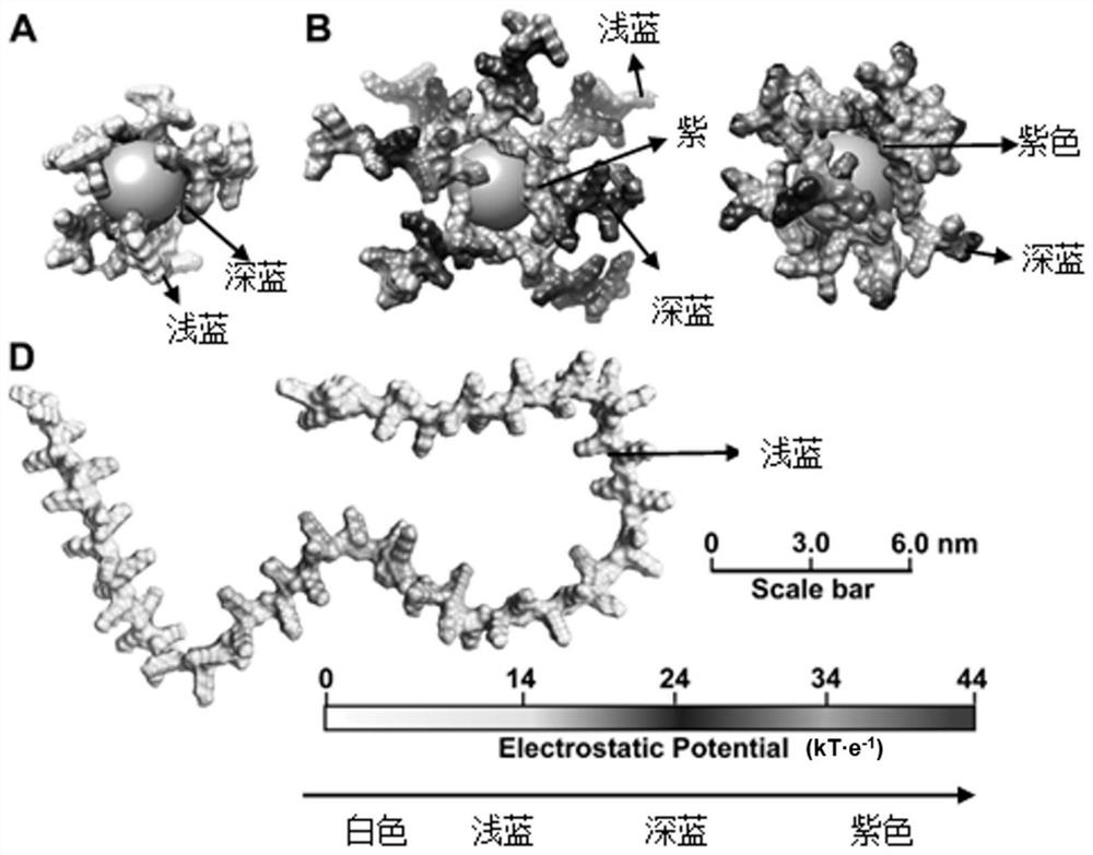 Branched antibacterial polyamino acid, and preparation method and application thereof