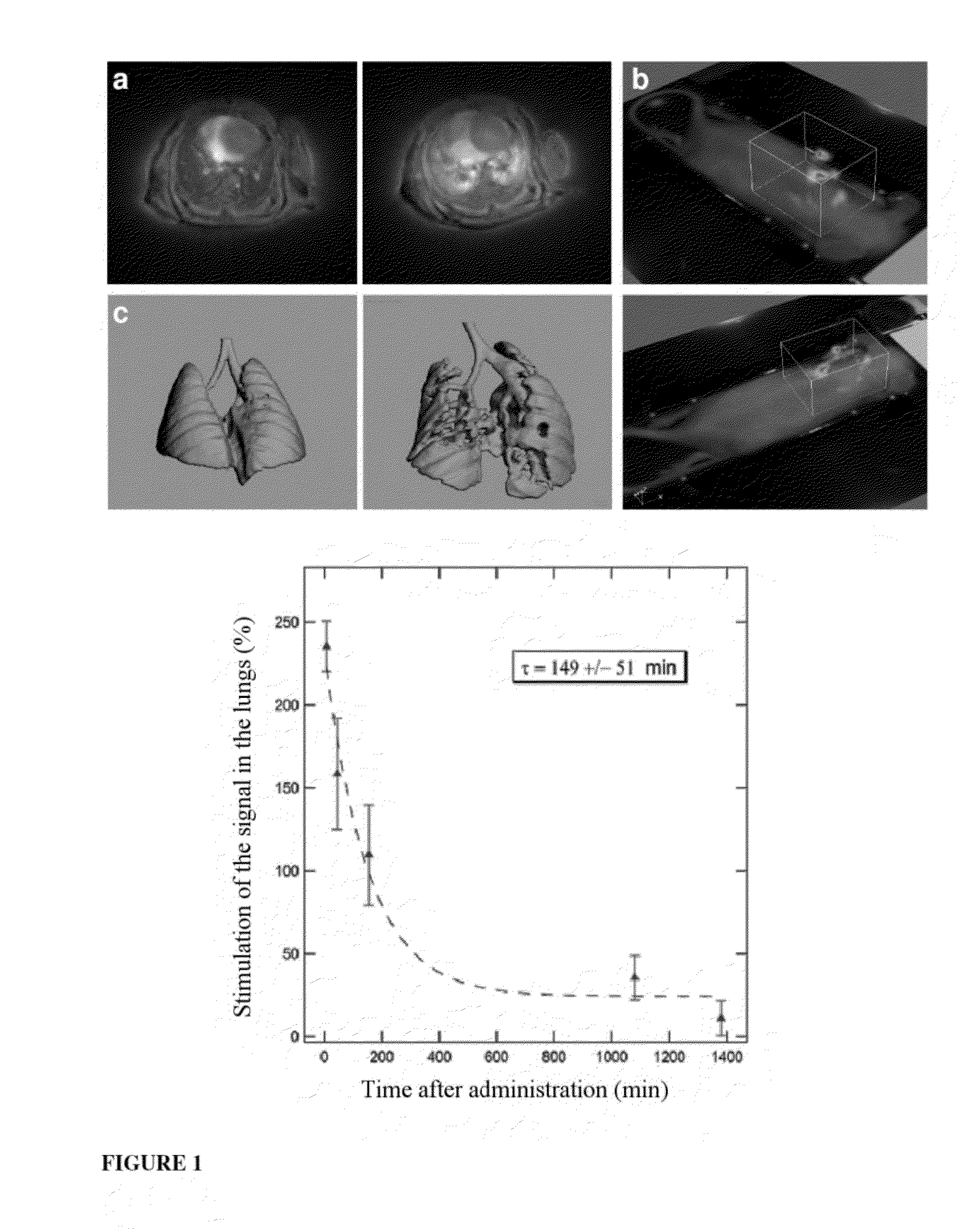 Ultrafine nanoparticles as multimodal contrast agent