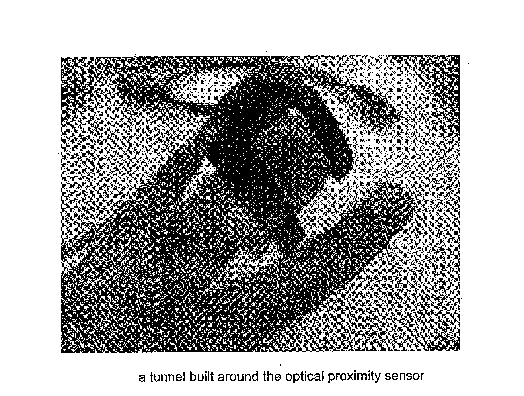 A method and system for estimation of blood anylates