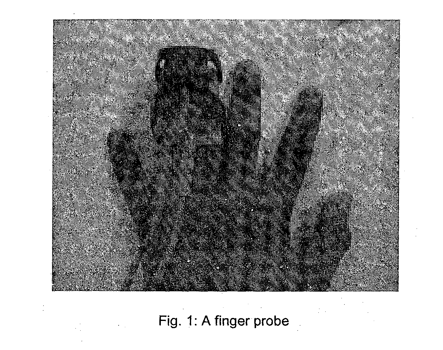 A method and system for estimation of blood anylates