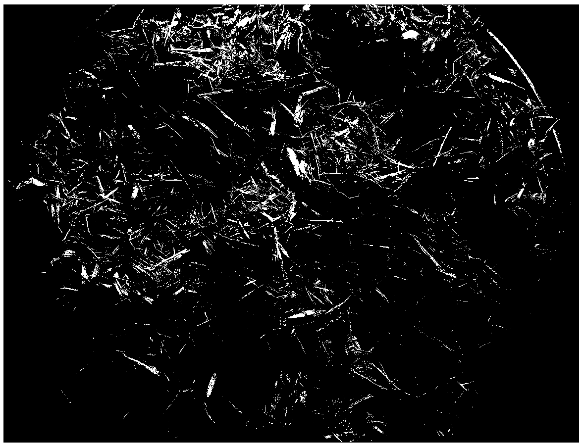 Preparation method of bagasse fiber for asphalt pavement reinforcement