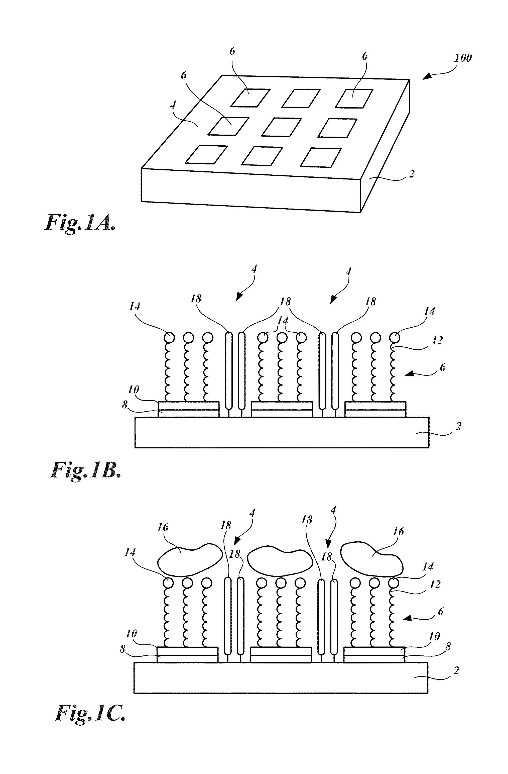 Arrays and methods for guided cell patterning