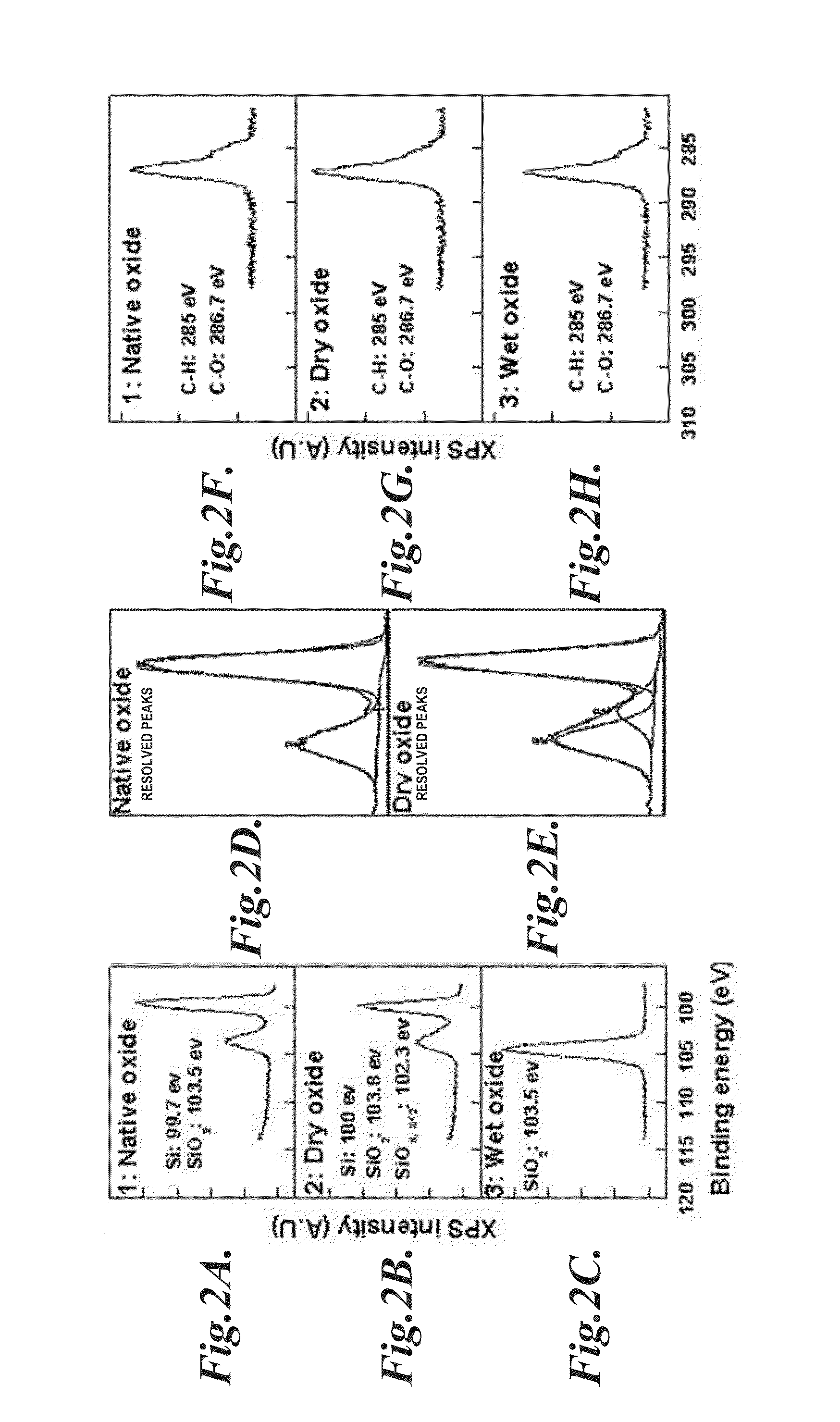 Arrays and methods for guided cell patterning