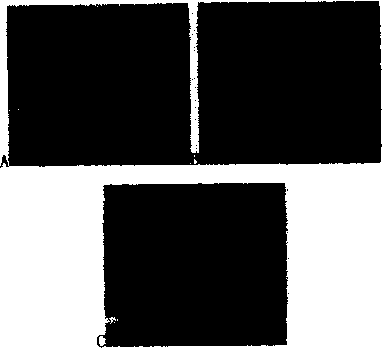 Use of glucoprotein for pharmaceuticals