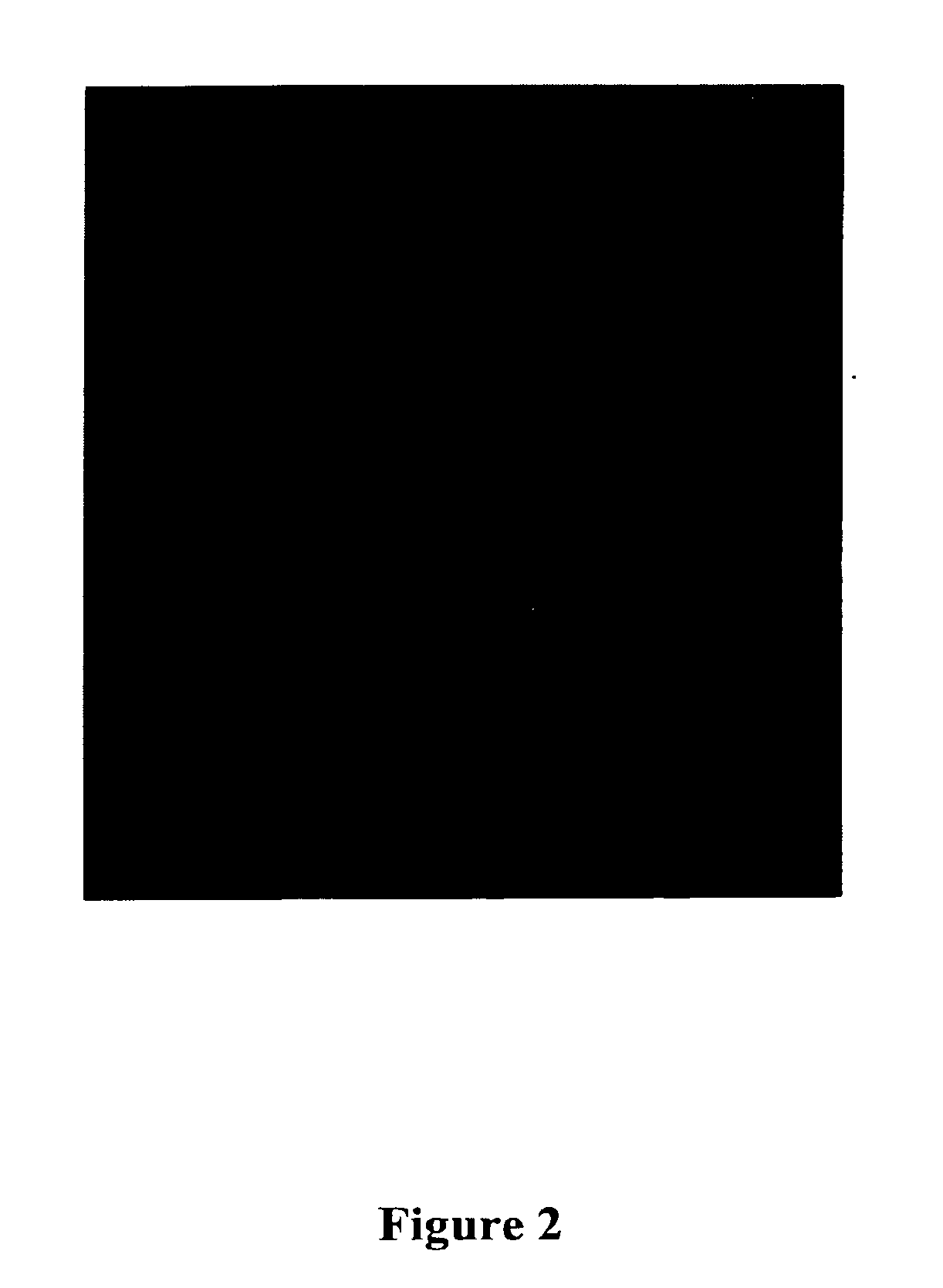 Cell culture medium containing growth factors and L-glutamine