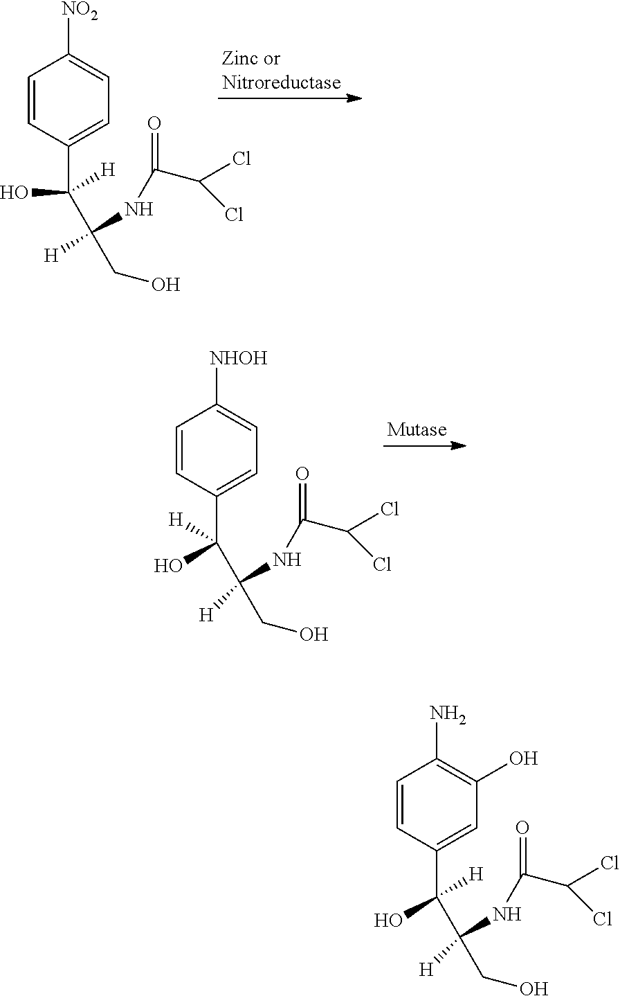 Biocatalytic process for the production of ortho-aminophenols from chloramphenicol and analogs