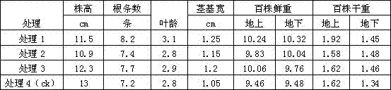 Medium-element silicon fertilizer containing Common Holly extract and Yucca smalliana Fern. extract, and preparation method thereof