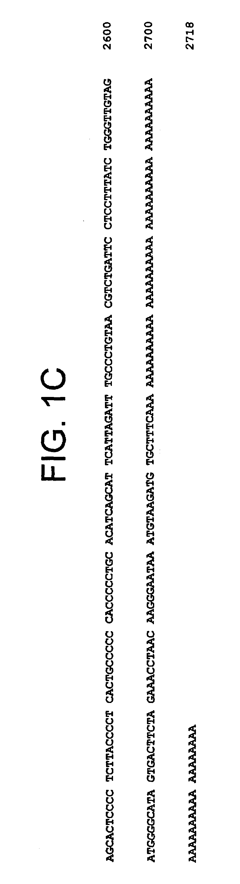 GL50 polypeptides