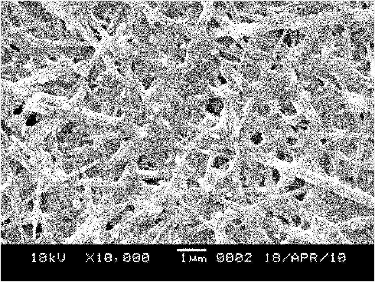 Method for preparing bacterial cellulose/polyvinyl alcohol composite membrane by wet process