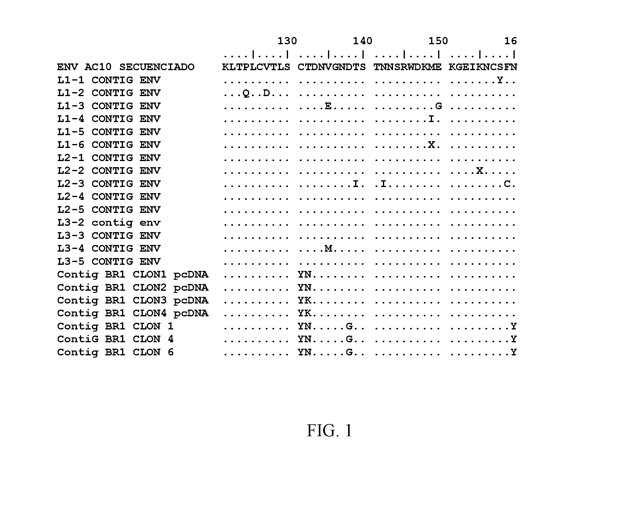 Rapid selection method for HIV gp-120 variants