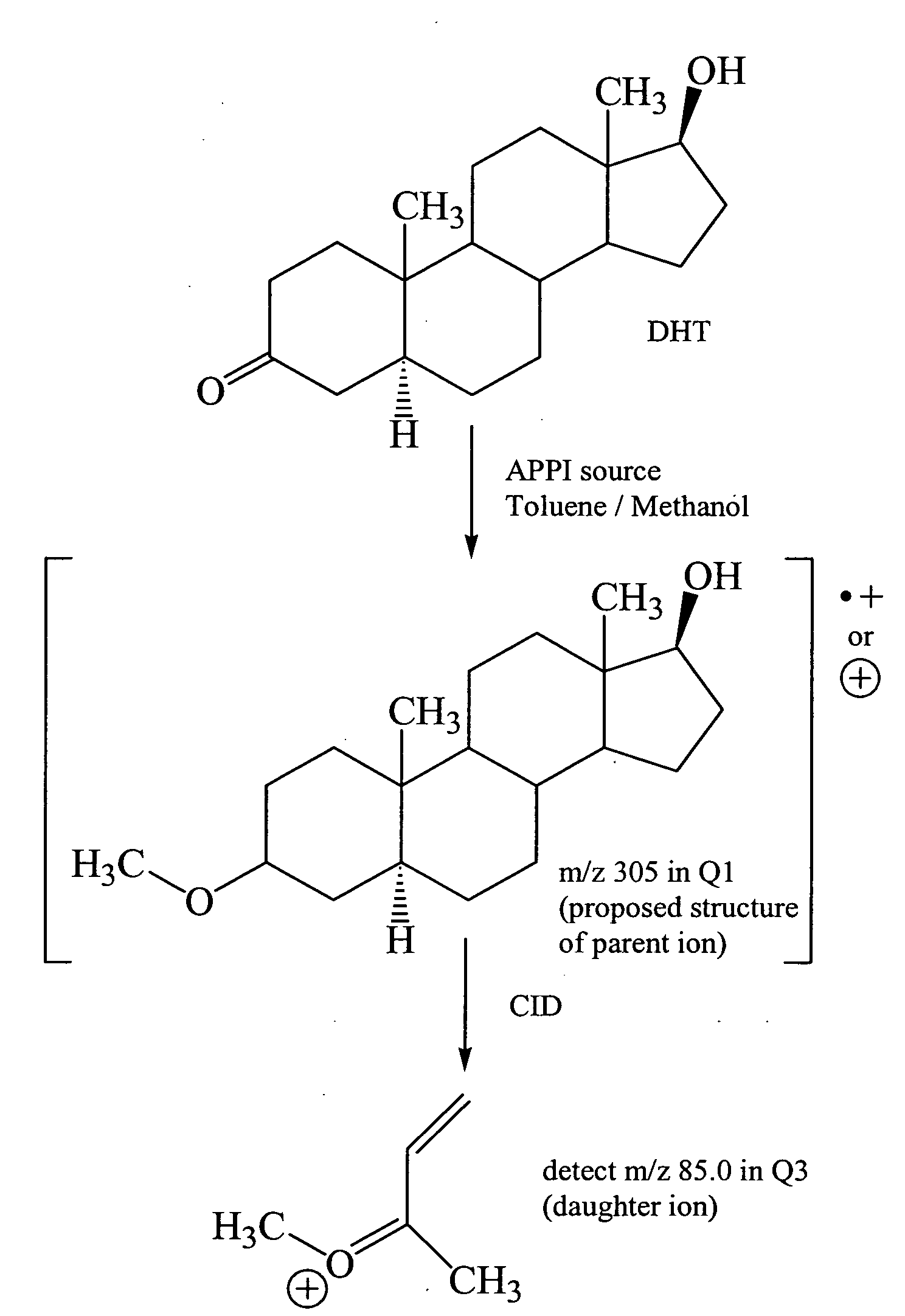 Method for determination of DHT levels in tissue samples