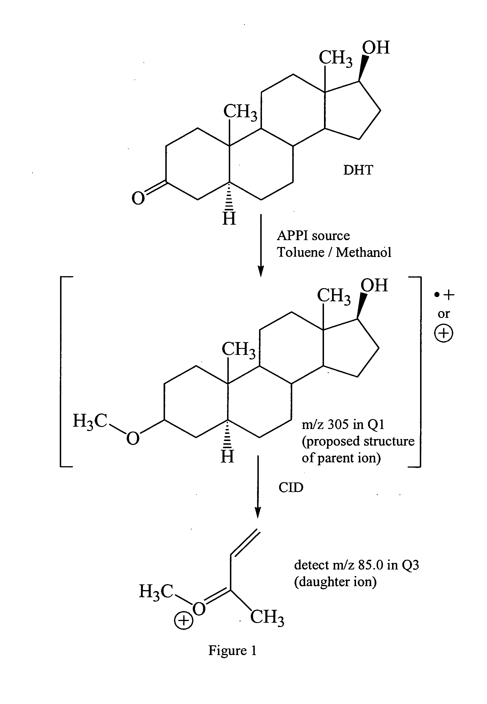 Method for determination of DHT levels in tissue samples