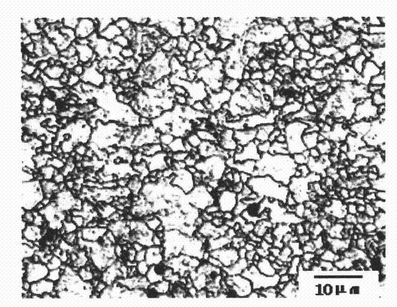 Back analysis identification method for parameters of dynamic re-crystallizing model