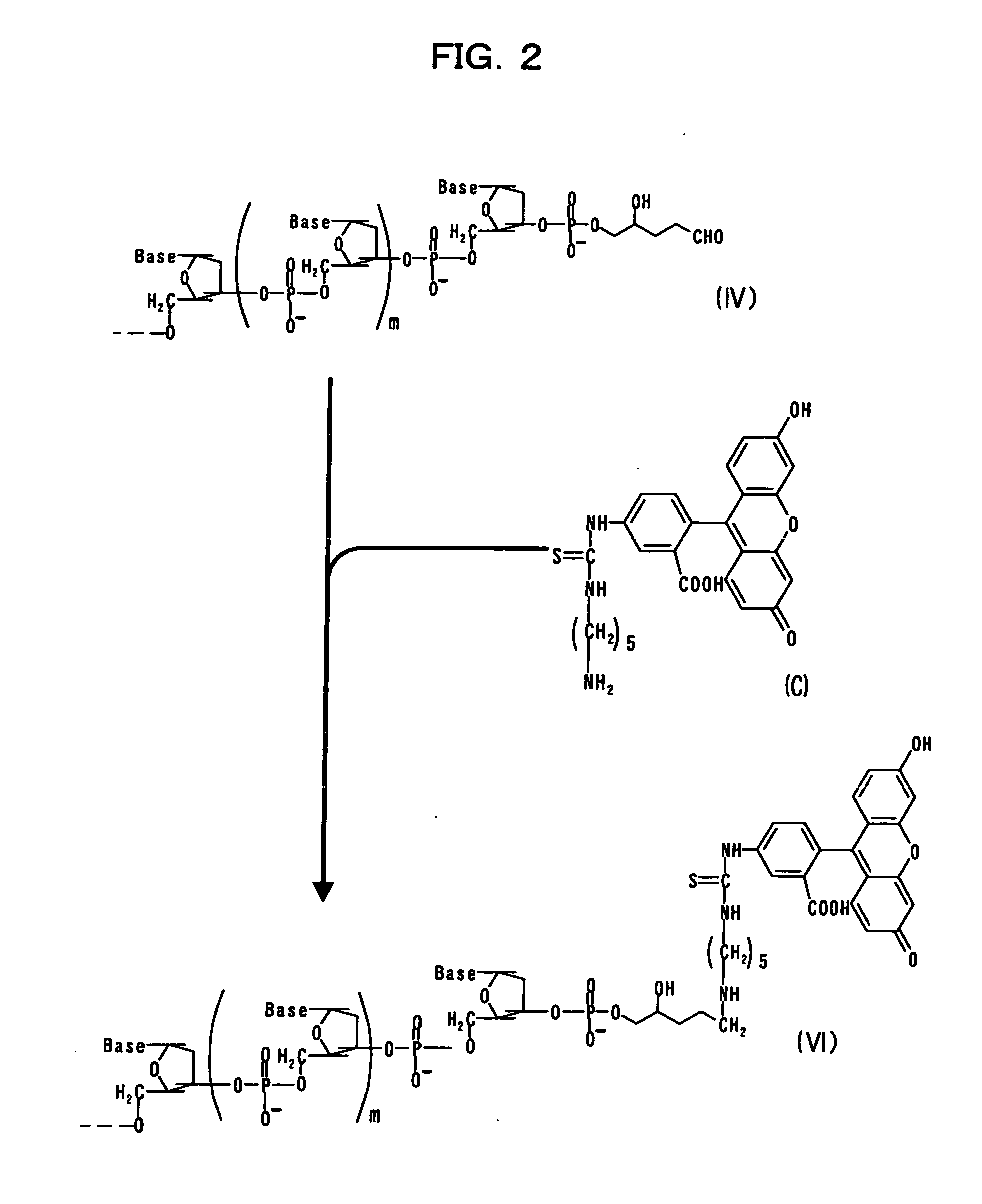 Method for modifying nucleotide chain
