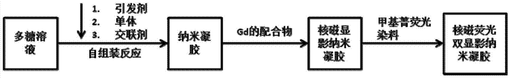 Magnetic resonance, fluorescent double-developing nanometer gel, probe and preparation method of gel