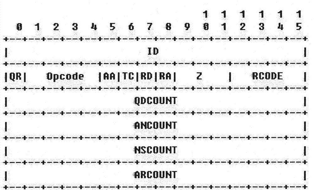 Method for detecting DNS (Domain Name-implementation and Specification) tunnel data based on DNS protocol standard