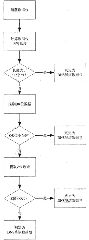 Method for detecting DNS (Domain Name-implementation and Specification) tunnel data based on DNS protocol standard