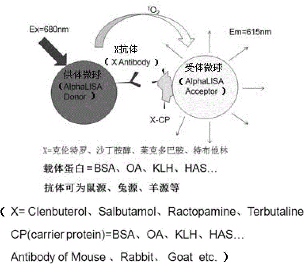 One-step homogeneous chemiluminescent detection method for micromolecule and particle used therein