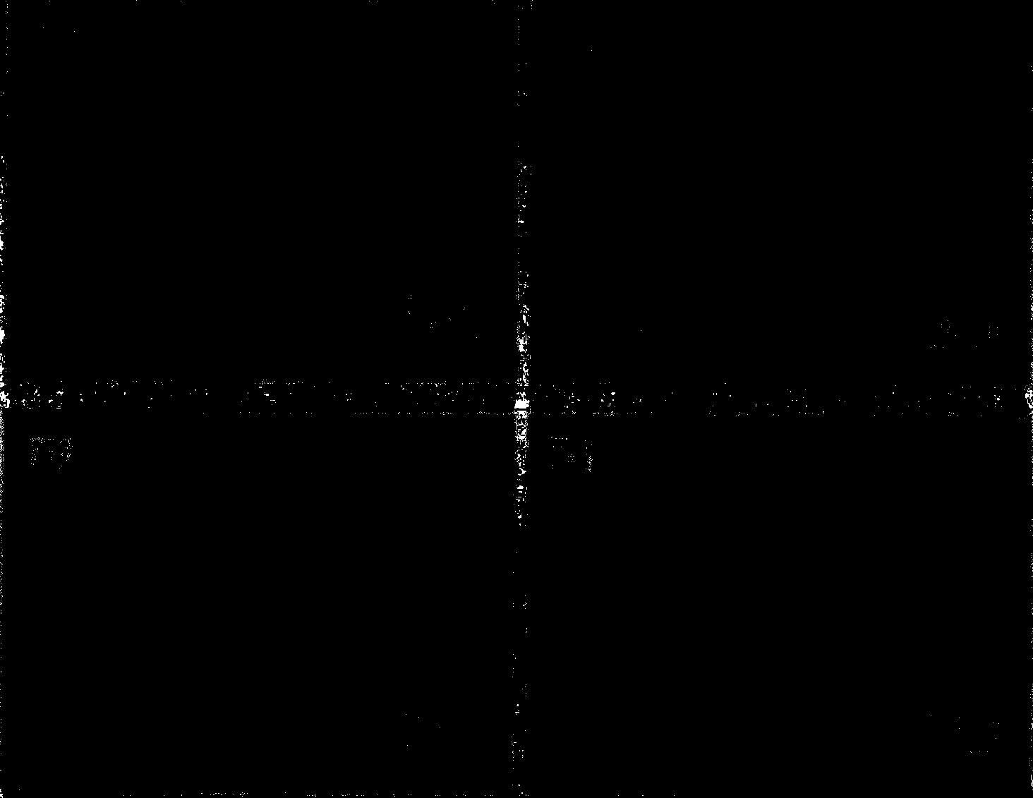 Graphene composite, application of graphene composite to catalytic methanol oxidation, chemically modified electrode and preparation method of graphene composite