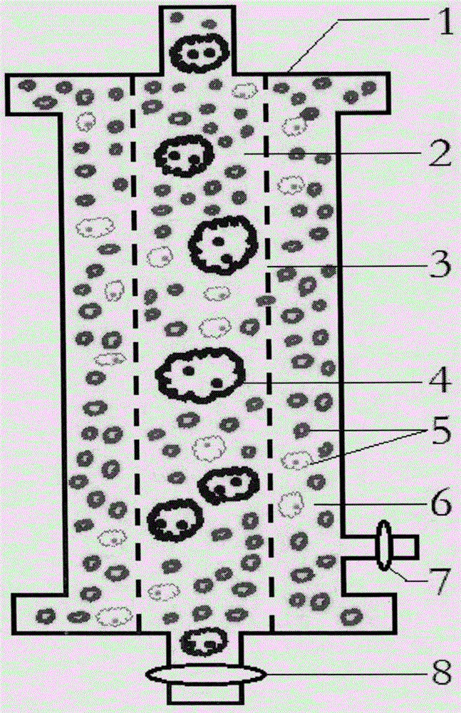 Maternal-fetal Rh blood group incompatibility immune adsorption therapeutic instrument