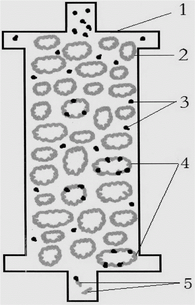 Maternal-fetal Rh blood group incompatibility immune adsorption therapeutic instrument