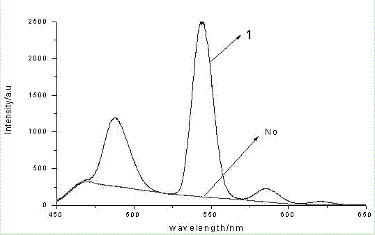 SiO2: RE light-emitting film taking TiO2 nanotube array as carrier and preparation method thereof