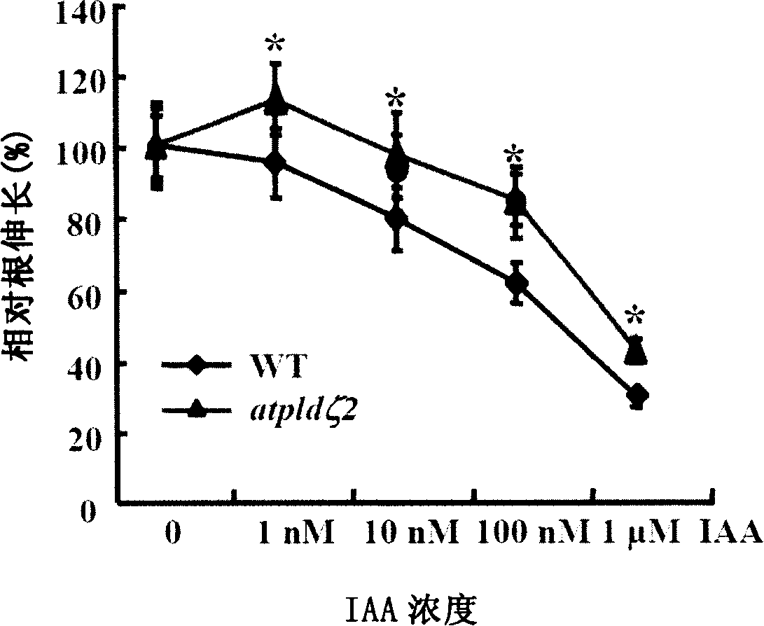 Gene for regulating sensibility of plants to auxin and uses thereof