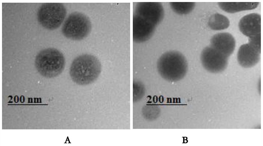 A method for removing cadmium from dried small fish by using chitosan nano-microspheres