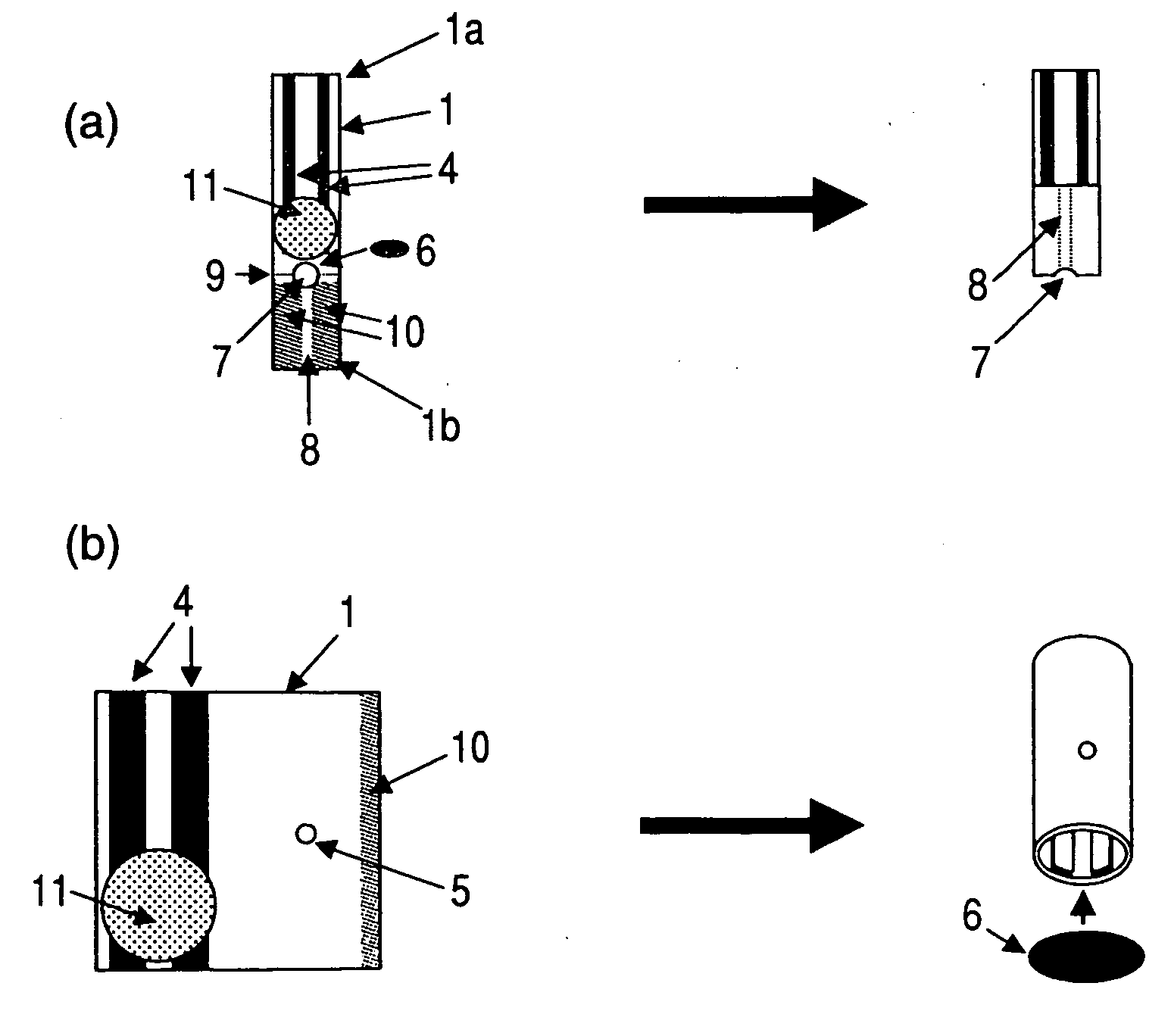 Biosensor and production method therefor