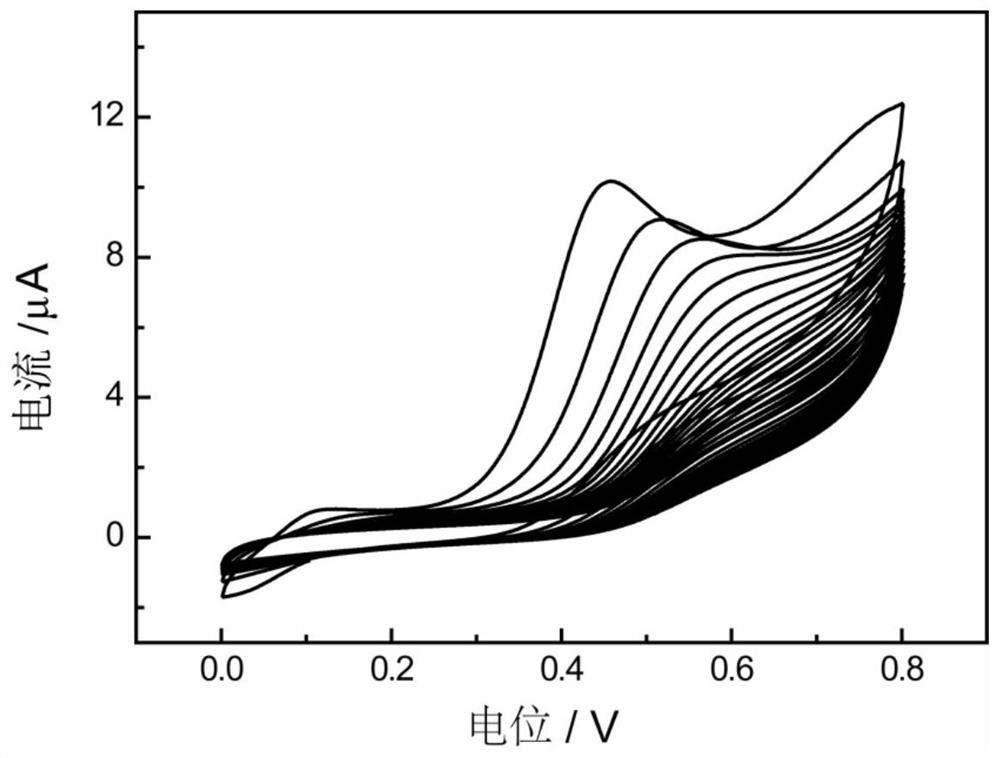 Surface-enhanced Raman spectroscopy sensor based on electrochemical deposition and molecular imprinting and its preparation method