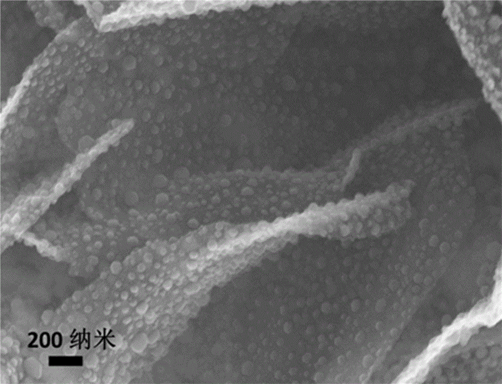 Cobalt sulfide/carbon composite material with flower-like structure and preparation method thereof