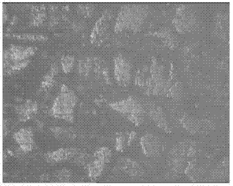 Microfabric quantitative test and analysis method for orthogonal anisotropy of granular material