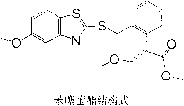 Preparation method of benzothiostrobin hapten, artificial antigen and specific antibody and application thereof