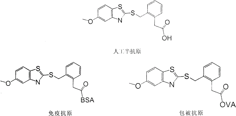 Preparation method of benzothiostrobin hapten, artificial antigen and specific antibody and application thereof