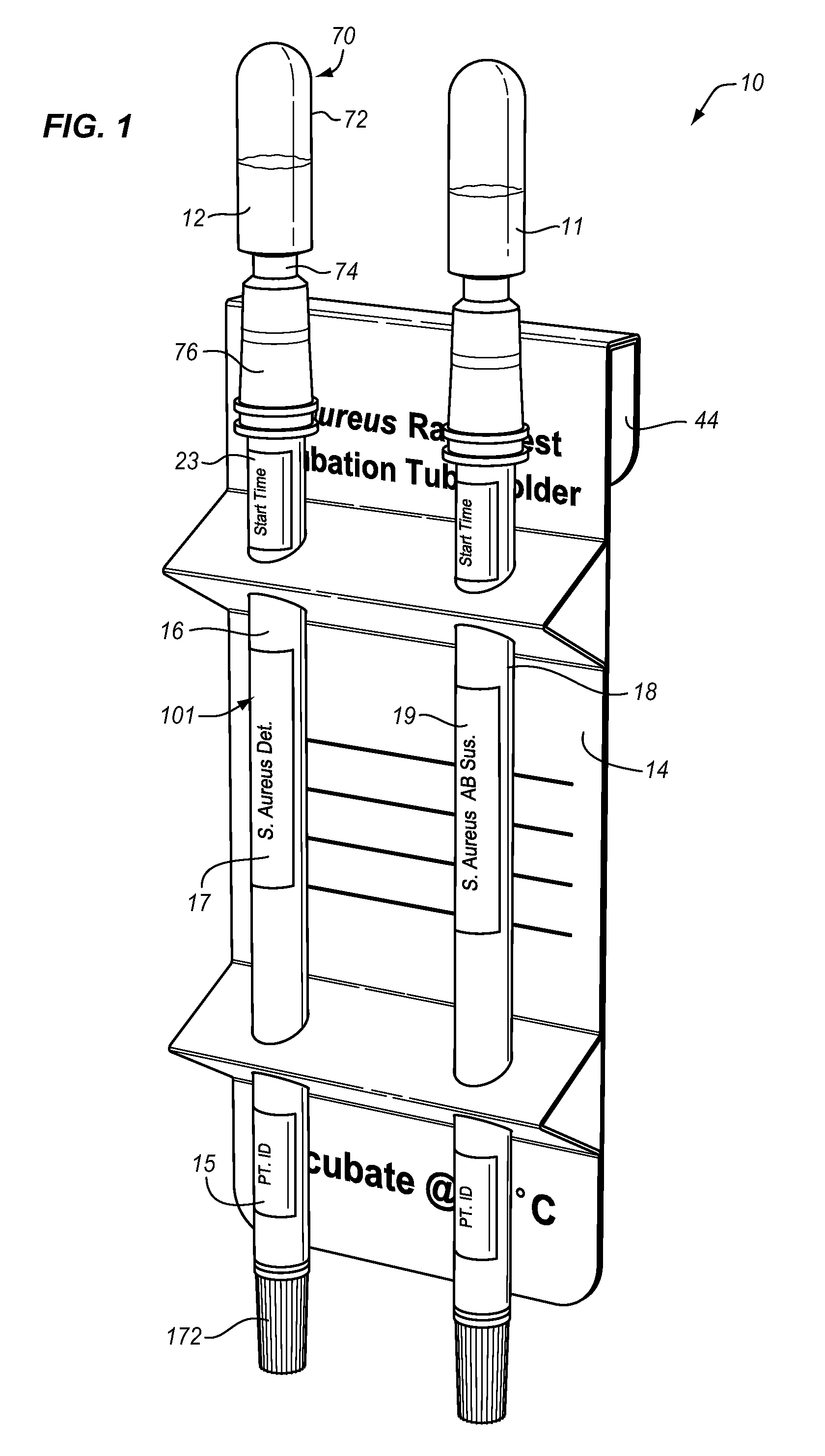 Method and apparatus for bacteriophage-based diagnostic assays