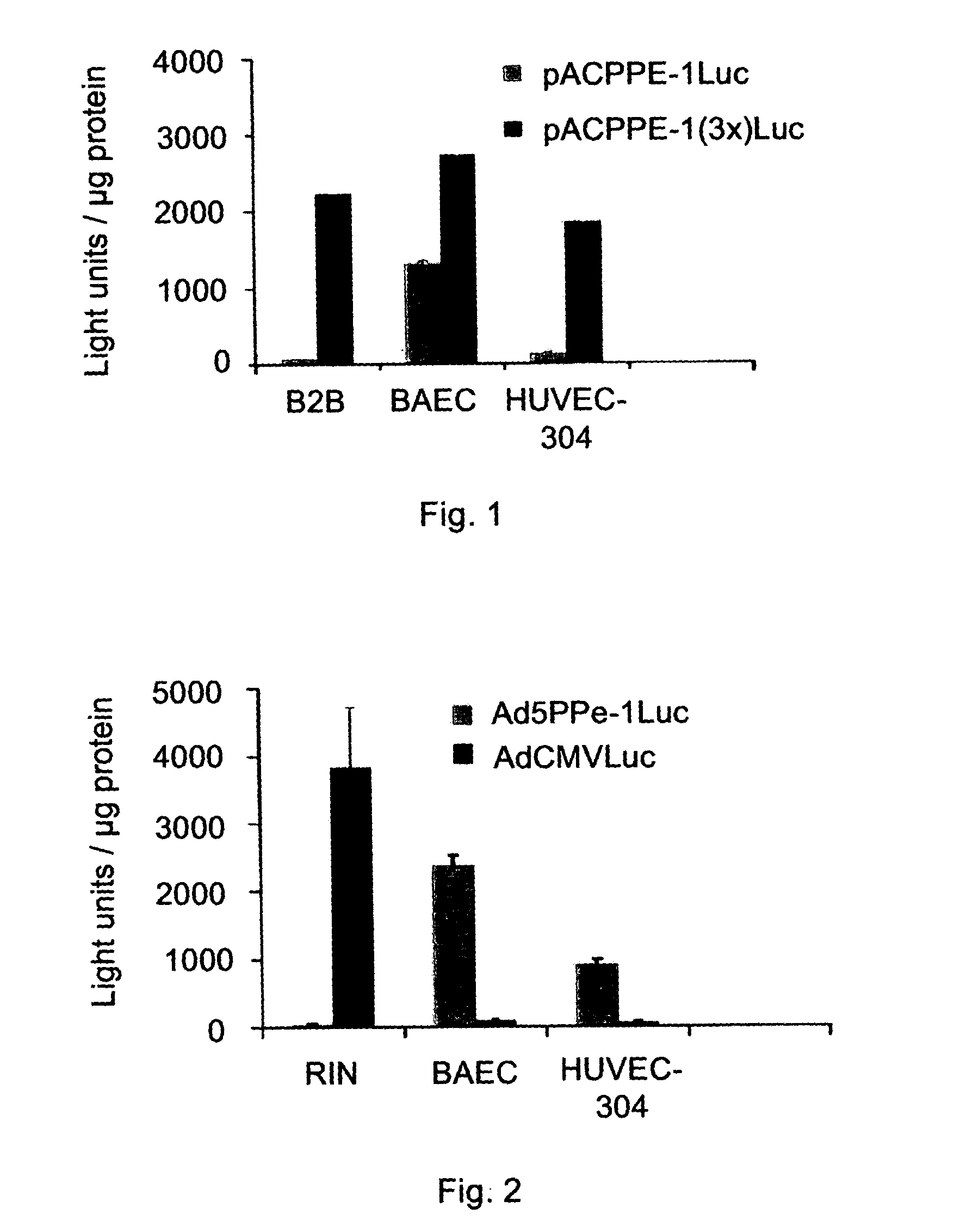 Promoters exhibiting endothelial cell specificity and methods of using same