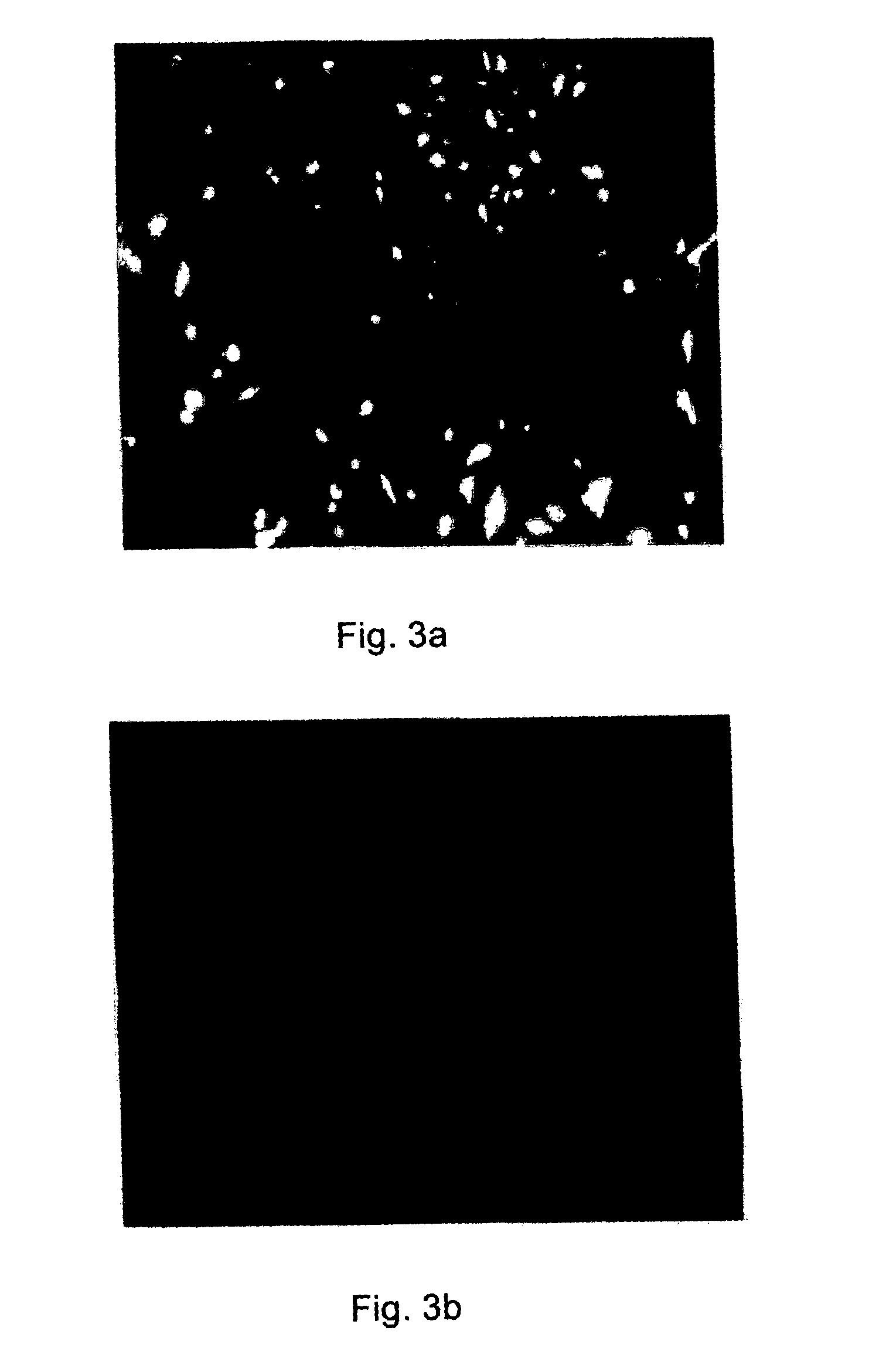 Promoters exhibiting endothelial cell specificity and methods of using same