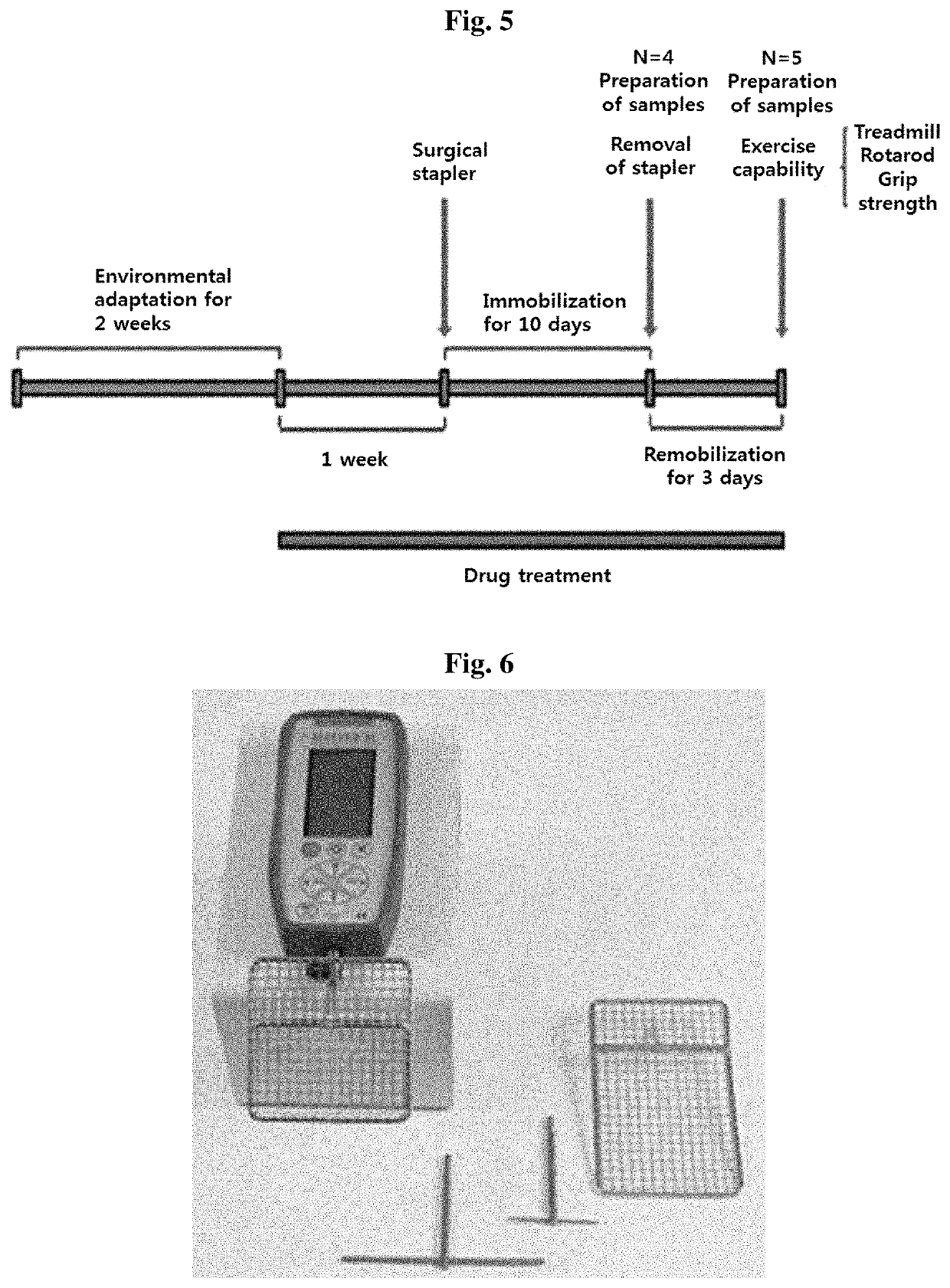 Composition for preventing or treating muscle weakness-related diseases comprising sobrerol