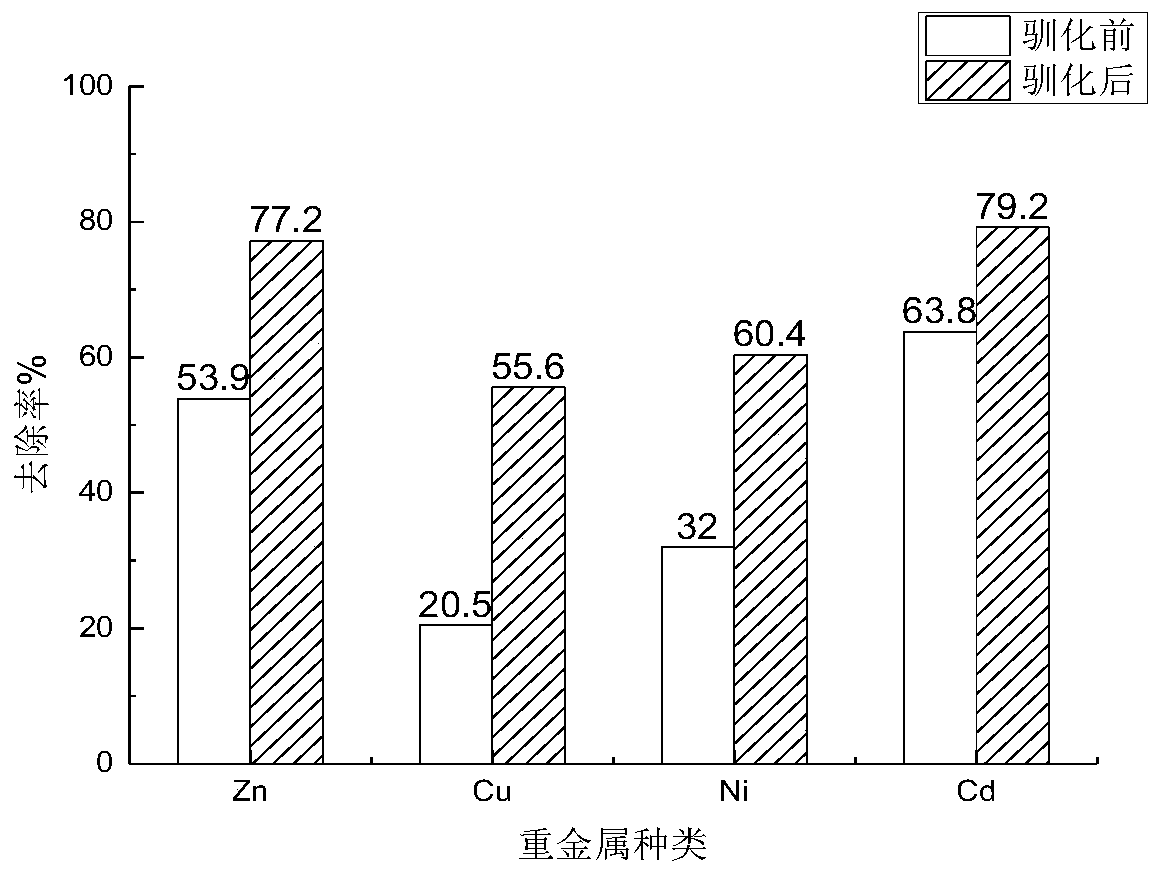 Method for removing heavy metal in different forms in polluted soil through acidophilic bacteria leaching