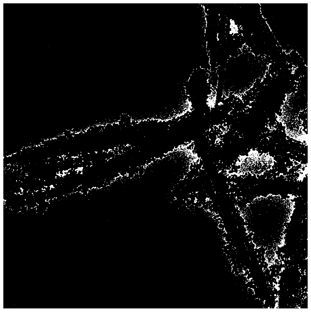 Co-doped ZnO quantum dot/attapulgite nano composite antibacterial agent and preparation method thereof